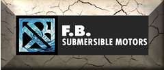 2. F.B. - Submersible Motors & Pumps